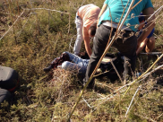  بالصور: إصابة متوسطة لسائق دراجة نارية بحادث طرق قرب مفرق جيناتون بين اللد والرملة